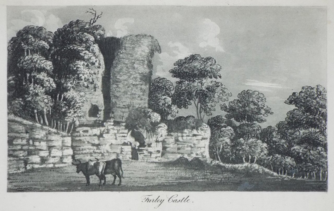Print - Farley Castle, Somersetshire. - 